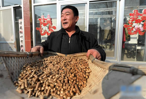 山东省阳信县劳店镇小杜村村民杜青山在展示生物质清洁燃料.jpg