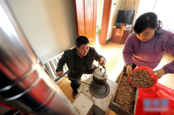 生物质颗粒取暖燃料进乡村.jpg